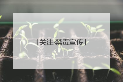 关注·禁毒宣传