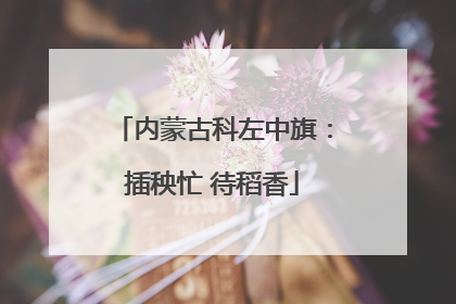 内蒙古科左中旗：插秧忙 待稻香