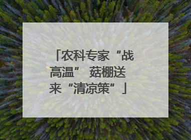 农科专家“战高温” 菇棚送来“清凉策”