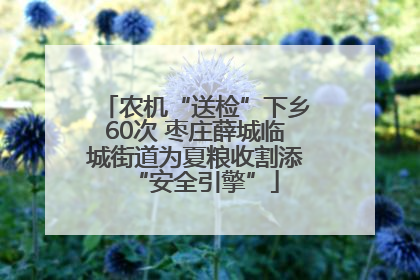 农机“送检”下乡60次 枣庄薛城临城街道为夏粮收割添“安全引擎”