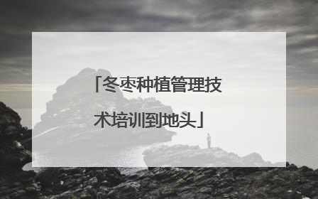 冬枣种植管理技术培训到地头