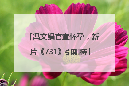 冯文娟官宣怀孕，新片《731》引期待