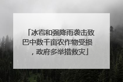 冰雹和强降雨袭击致巴中数千亩农作物受损，政府多举措救灾