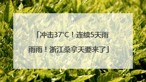 冲击37℃！连续5天雨雨雨！浙江桑拿天要来了