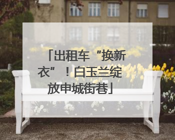 出租车“换新衣”！白玉兰绽放申城街巷