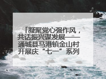 凝聚党心强作风，共话振兴谋发展——通城县马港镇金山村开展庆“七一”系列庆祝活动
