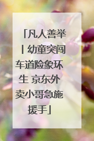 凡人善举丨幼童突闯车道险象环生 京东外卖小哥急施援手