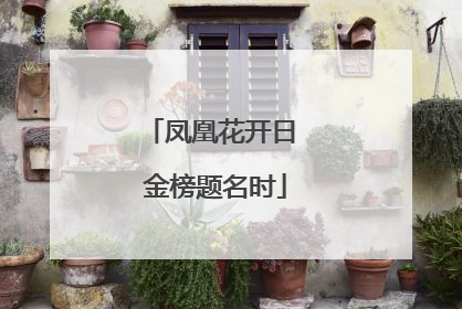 凤凰花开日 金榜题名时