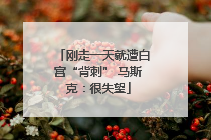 刚走一天就遭白宫“背刺” 马斯克：很失望