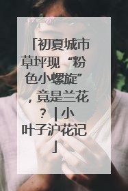 初夏城市草坪现“粉色小螺旋”，竟是兰花？ | 小叶子沪花记