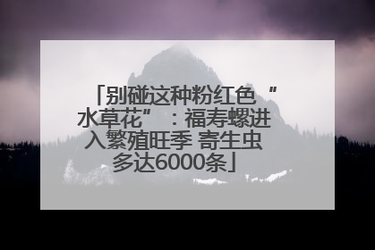 别碰这种粉红色“水草花”：福寿螺进入繁殖旺季 寄生虫多达6000条