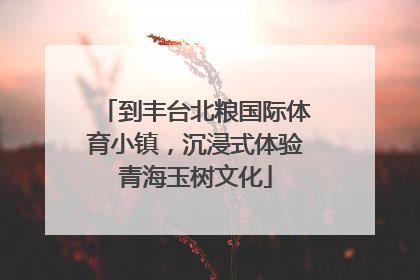 到丰台北粮国际体育小镇，沉浸式体验青海玉树文化
