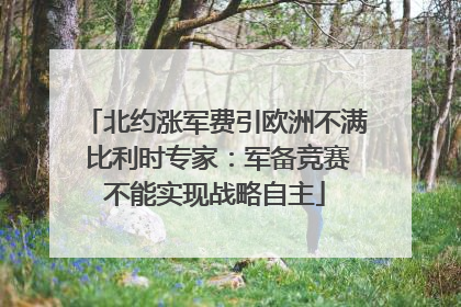 北约涨军费引欧洲不满 比利时专家：军备竞赛不能实现战略自主