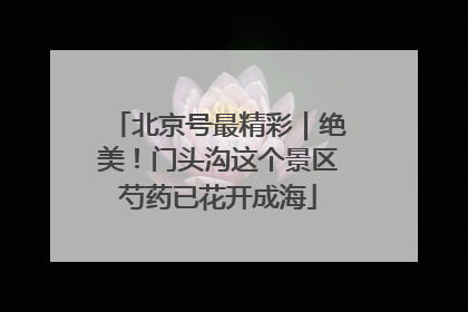 北京号最精彩｜绝美！门头沟这个景区芍药已花开成海