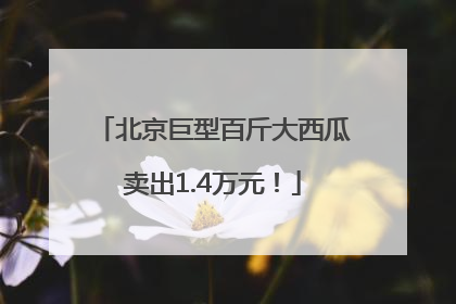 北京巨型百斤大西瓜卖出1.4万元！