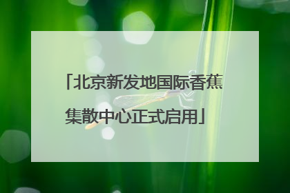 北京新发地国际香蕉集散中心正式启用