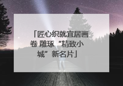 匠心织就宜居画卷 雕琢“精致小城”新名片