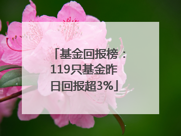 基金回报榜：119只基金昨日回报超3%