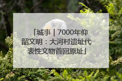 城事｜7000年仰韶文明：大河村遗址代表性文物首回原址