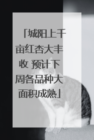 城阳上千亩红杏大丰收 预计下周各品种大面积成熟
