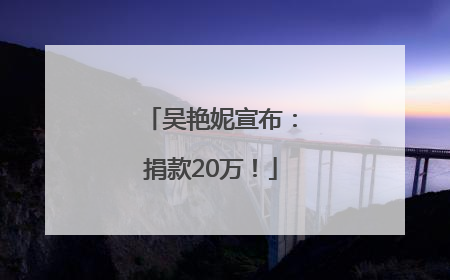 吴艳妮宣布：捐款20万！