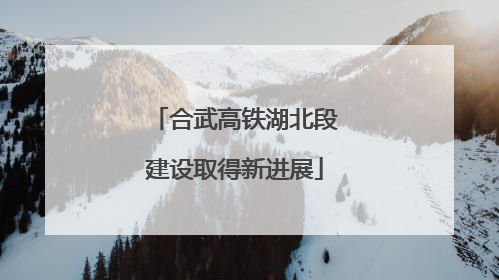 合武高铁湖北段建设取得新进展
