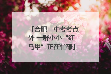合肥一中考考点外 一群小小“红马甲”正在忙碌