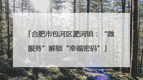 合肥市包河区淝河镇：“微服务”解锁“幸福密码”