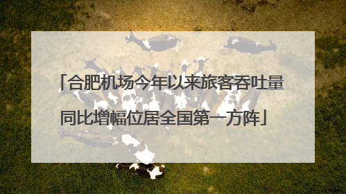 合肥机场今年以来旅客吞吐量同比增幅位居全国第一方阵