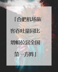 合肥机场旅客吞吐量同比增幅位居全国第一方阵