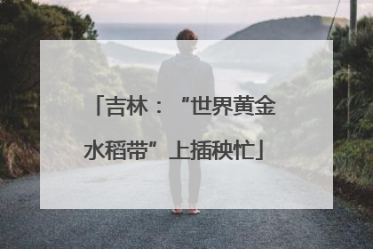 吉林：“世界黄金水稻带”上插秧忙