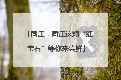 同江：同江这颗“红宝石”等你来尝鲜