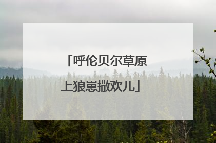 呼伦贝尔草原上狼崽撒欢儿