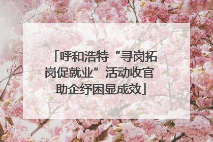 呼和浩特“寻岗拓岗促就业”活动收官 助企纾困显成效