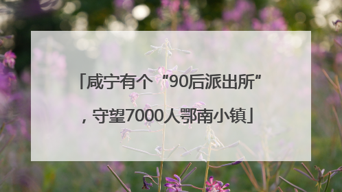 咸宁有个“90后派出所”，守望7000人鄂南小镇
