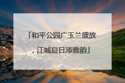 和平公园广玉兰盛放，江城夏日添雅韵