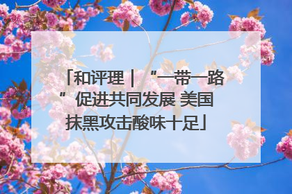 和评理｜“一带一路”促进共同发展 美国抹黑攻击酸味十足