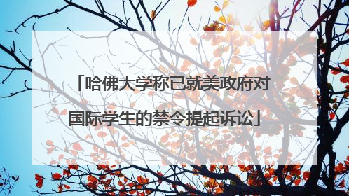 哈佛大学称已就美政府对国际学生的禁令提起诉讼