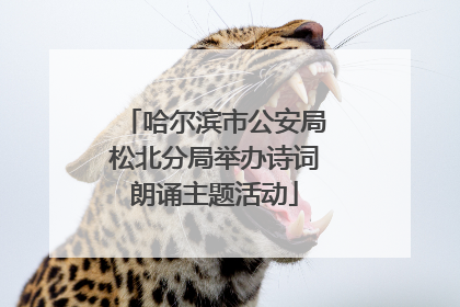 哈尔滨市公安局松北分局举办诗词朗诵主题活动