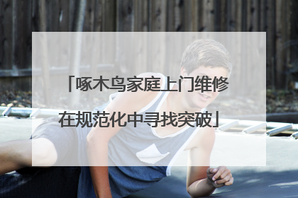啄木鸟家庭上门维修在规范化中寻找突破