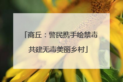 商丘：警民携手绘禁毒 共建无毒美丽乡村