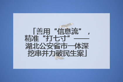 善用“信息流”，精准“打七寸”——湖北公安省市一体深挖串并力破民生案