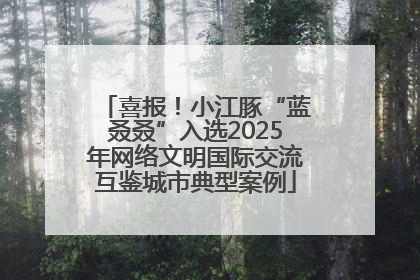 喜报！小江豚“蓝叒叒”入选2025年网络文明国际交流互鉴城市典型案例