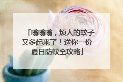 嗡嗡嗡，烦人的蚊子又多起来了！送你一份夏日防蚊全攻略