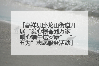 嘉祥县卧龙山街道开展“爱心粽香到万家 暖心端午送安康” “五为”志愿服务活动