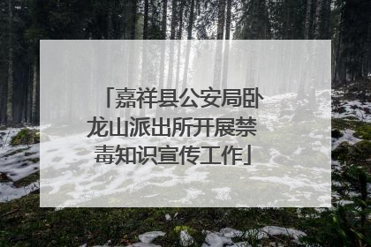 嘉祥县公安局卧龙山派出所开展禁毒知识宣传工作