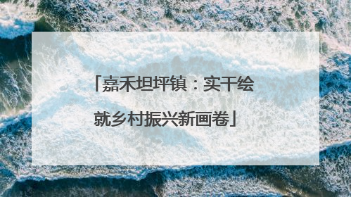 嘉禾坦坪镇：实干绘就乡村振兴新画卷