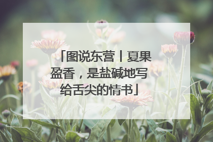 图说东营丨夏果盈香，是盐碱地写给舌尖的情书