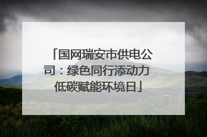 国网瑞安市供电公司：绿色同行添动力 低碳赋能环境日