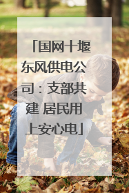 国网十堰东风供电公司：支部共建 居民用上安心电